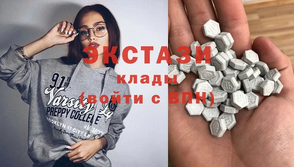 крисы Кулебаки