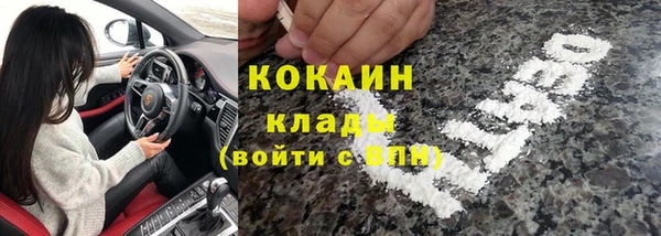 ECSTASY Алзамай